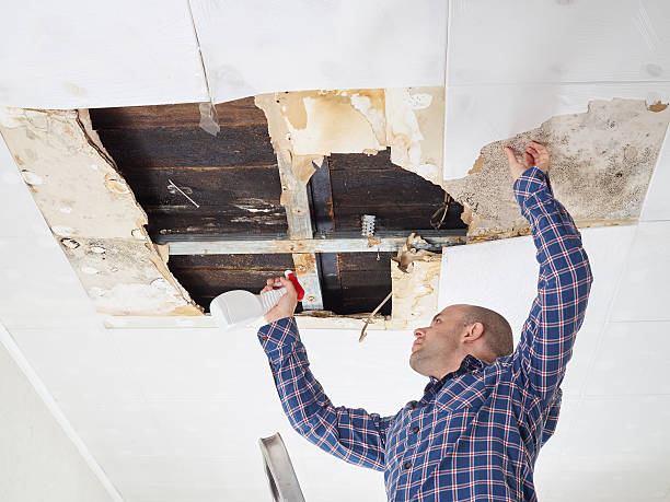 Best Asbestos and Lead Testing During Mold Inspection  in Carrizo Hill, TX